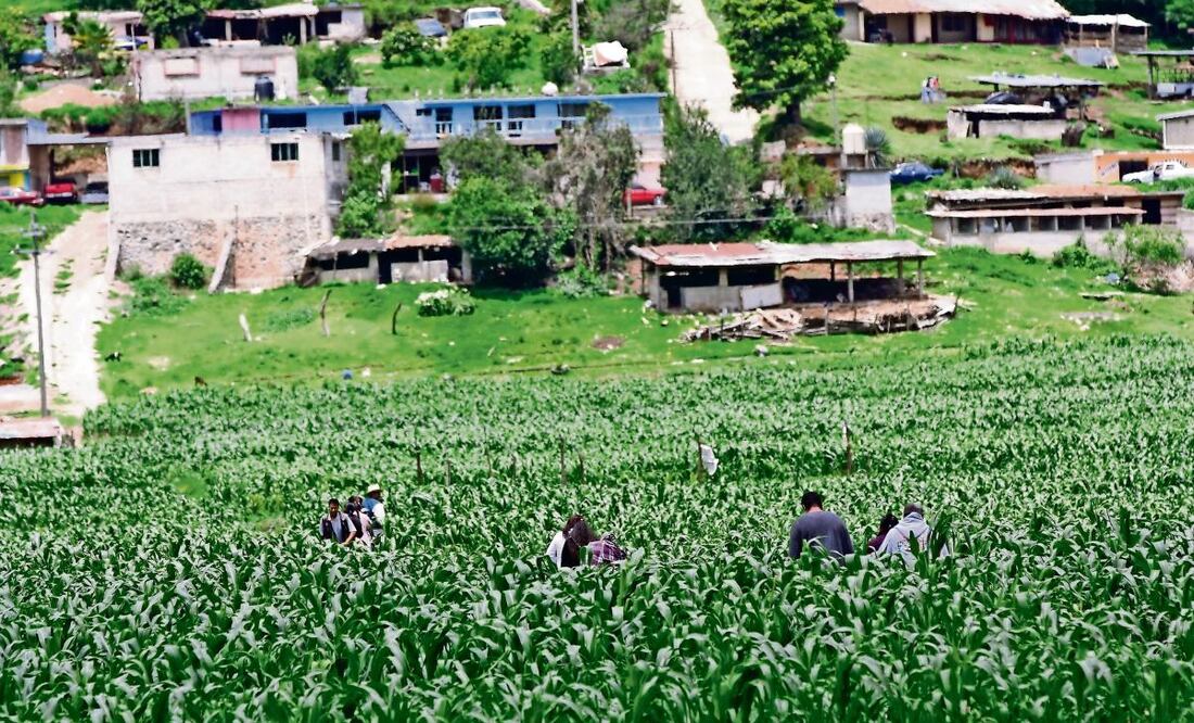 Entre el tercer y el cuarto trimestre de 2024, la pobreza laboral en el ámbito urbano se mantuvo en niveles similares al pasar de 30.7% a 30.8%, mientras que en el ámbito rural presentó un aumento de 2.2 puntos porcentuales. (26/02/25) Foto: Archivo | El Universal
