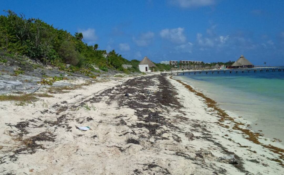 Terreno en donde se pretende construir "Hotel Riviera Cancún", del grupo RIU (Foto: Adriana Varillas / EL UNIVERSAL)