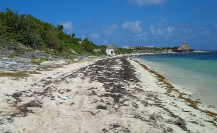 Suspenden licencia de construcción para hotel en QRoo