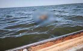 Colectivo "Sabuesas Guerreras" pide agilizar estudios de genética forense tras hallazgo de 3 cuerpos en playas de Navolato, Sinaloa