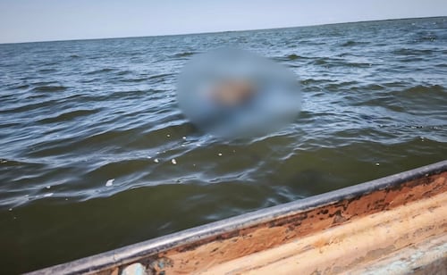 Search Group Urges Faster Forensic Tests After Three Bodies Found in Navolato, Sinaloa
