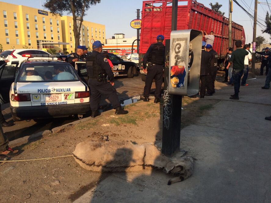 Foto: Fernando Ramírez