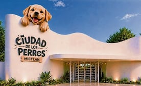 Canes tendrán centro de cuidado y utopía