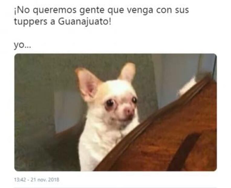 Unos memes "fifís" para los turistas pobres de Guanajuato 
