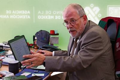 “No romanticemos la interacción entre humanos y animales”