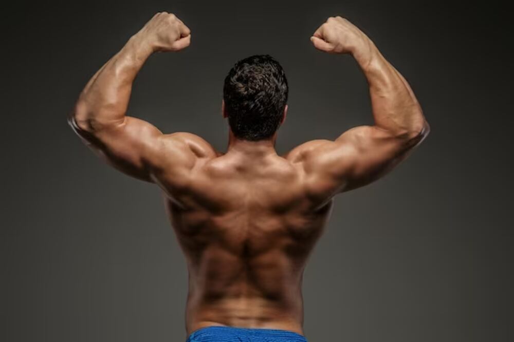 Músculos | Fuente: Freepik