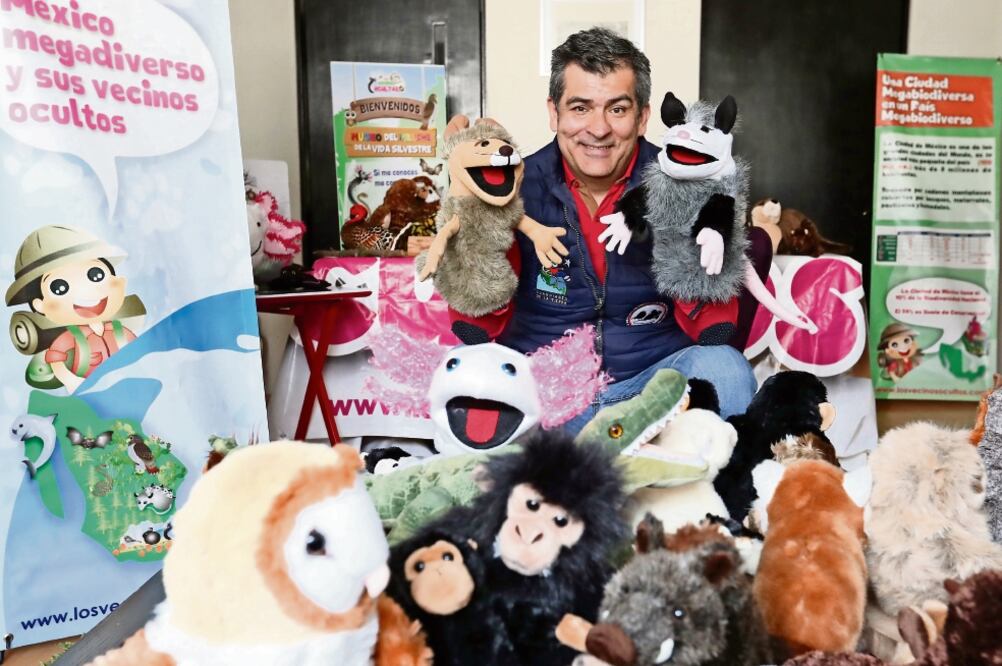 El ajolote forma parte de una exhibición itinerante en la que se muestran figuras de animales en riesgo de desaparecer; de los 500 ejemplares que conforman la colección, 200 son mexicanos. Foto: ARIEL OJEDA. EL UNIVERSAL