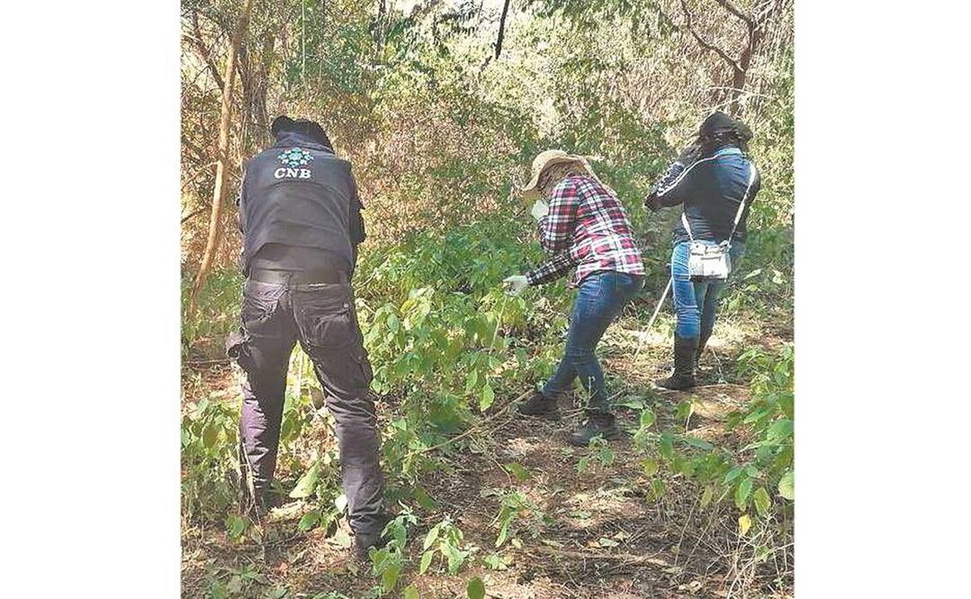Las fosas clandestinas se ubicaron en el sureste del estado. Foto: ESPECIAL