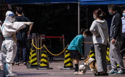 “¡Tenemos hambre!”, gritan habitantes de Shanghái, en medio del confinamiento en China por Covid