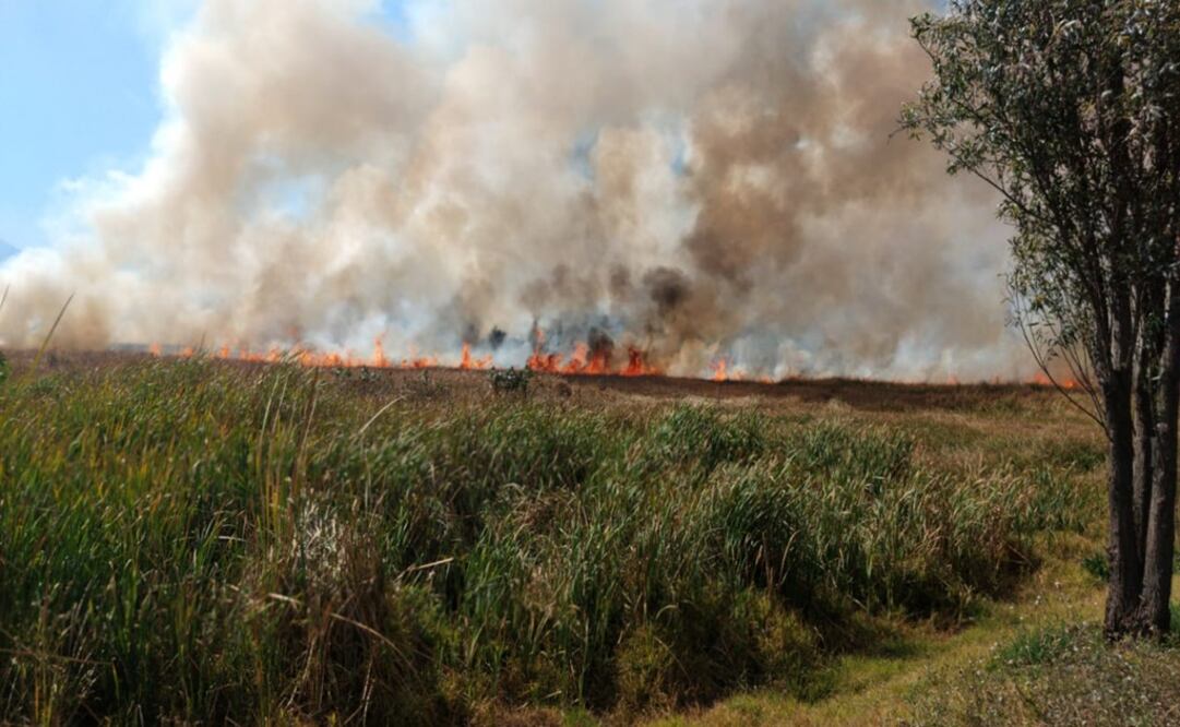 Foto: Twitter @SGIRPC_CDMX