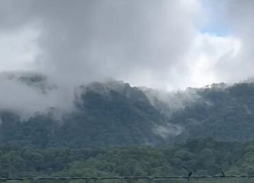 Reportan disparos en Yosoyuxi Copala, Oaxaca, lugar de refugio de familias triquis desplazadas
