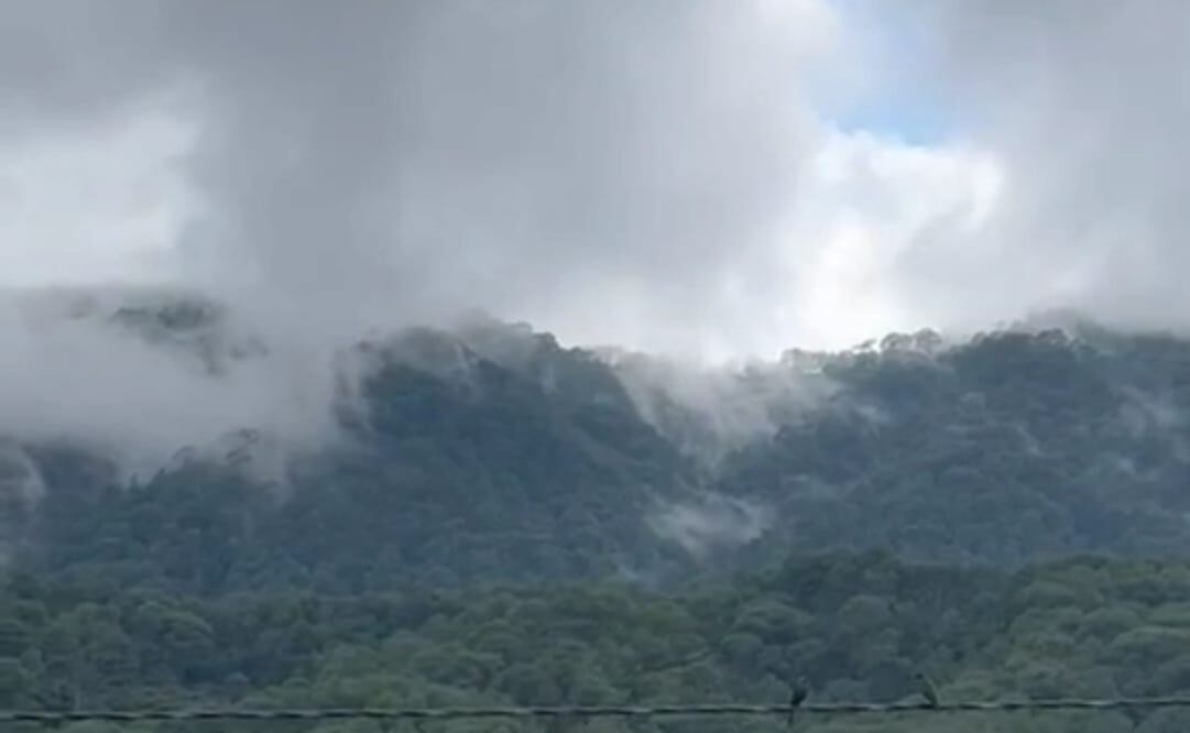 Reportan disparos en Yosoyuxi Copala, lugar de refugio de familias triquis desplazadas.
Foto: Especial.