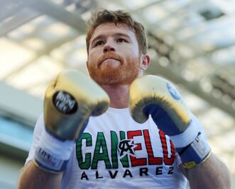 'Canelo' por una bolsa millonaria