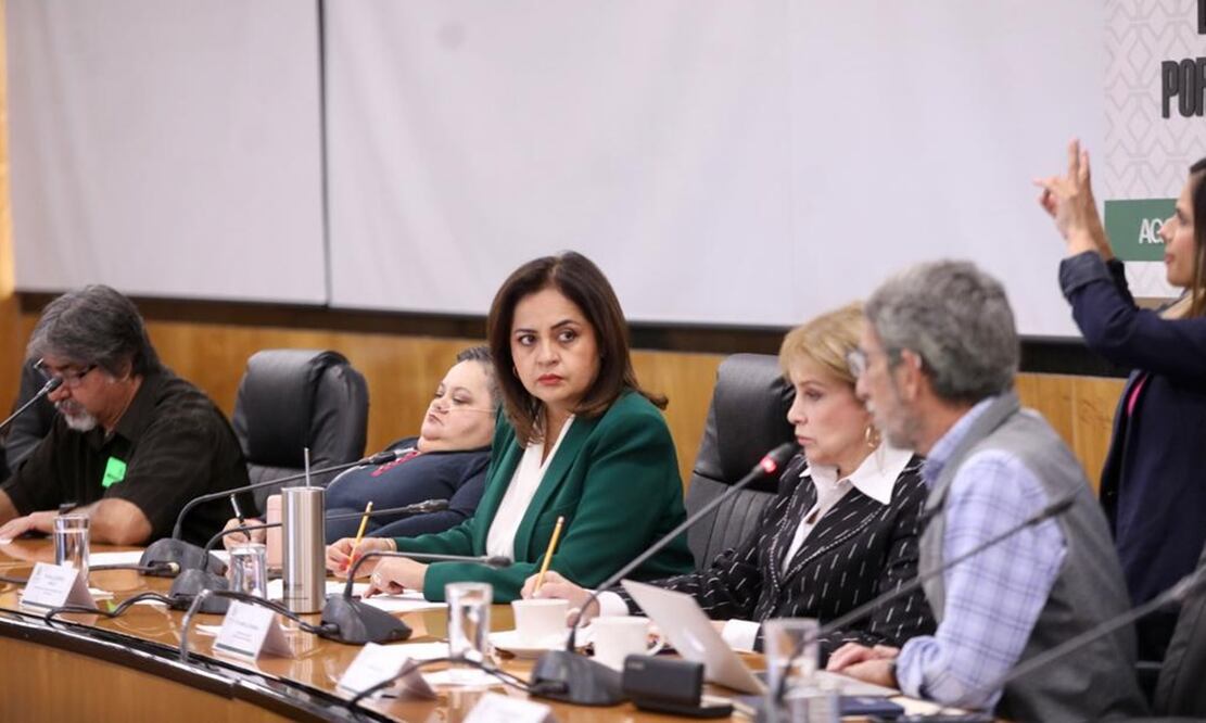 Los procesos educativos que plantean, no corresponden en ningún sentido ni a los intereses ni a las capacidades de los niños, señalan especialistas