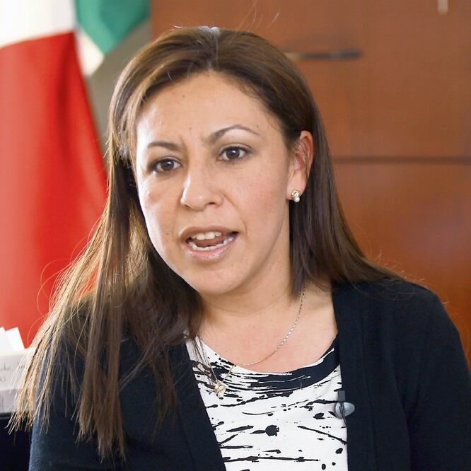 Plazo. La diputada morenista Rocío Barrera dijo que se busca que la iniciativa sea aprobada entre el 7 y 8 de noviembre. Foto: ARCHIVO EL UNIVERSAL