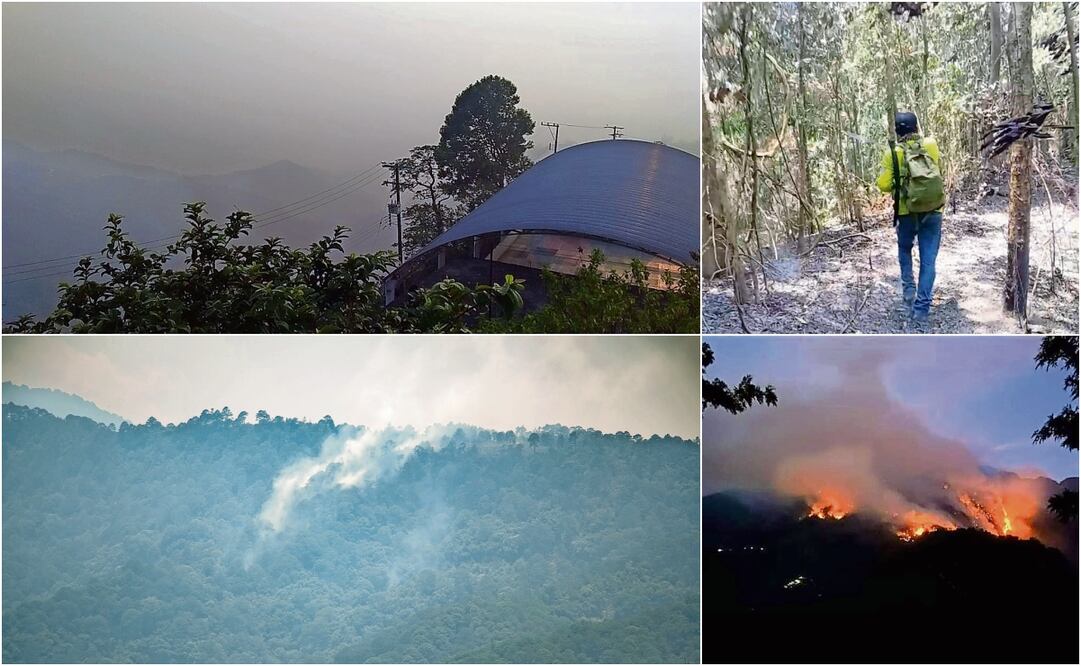 Los incendios en Oaxaca han consumido bosques y ocasionado problemas de salud a la población. Foto: Especial