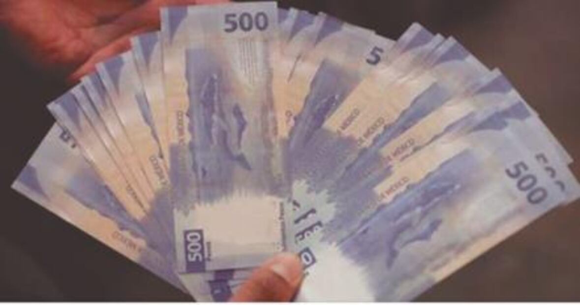 El Foco. ¿Qué celebra? Que ganó AMLO... ¡a bailar Tiburón, tiburón!