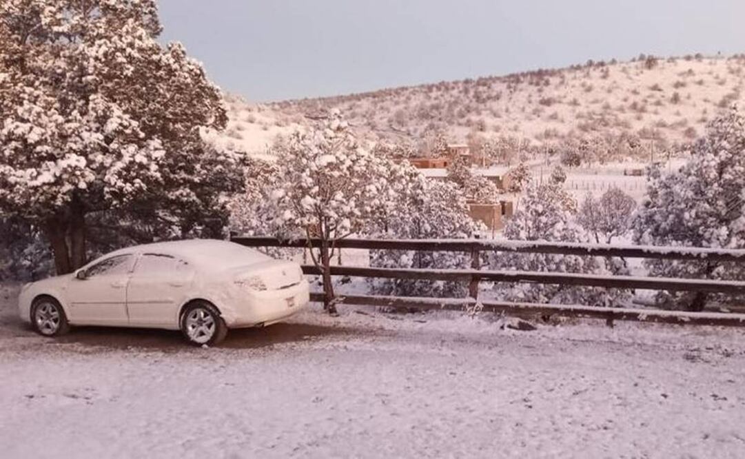 Nevadas en Chihuahua. Foto: Especiales