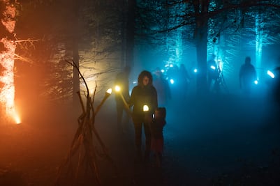 Así son los bosques encantados de Quebec