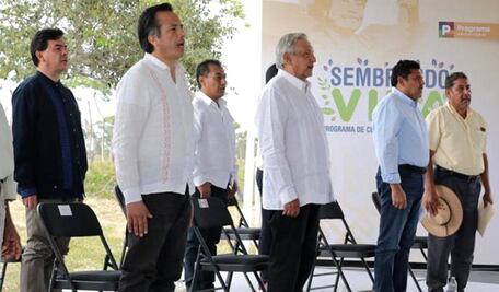 México destina más recursos a la reforestación que Estados Unidos: AMLO