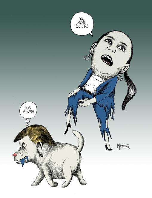 Cartón de KEMCHS