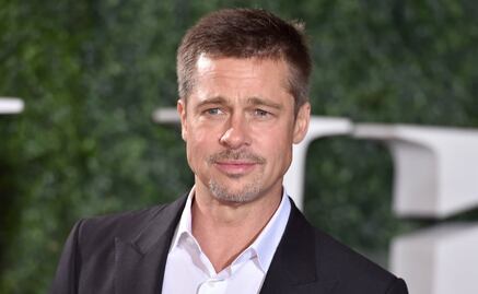 ¿Brad Pitt estuvo en rehabilitación?