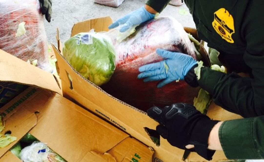 El cargamento de mariguana estaba dividido en 150 e iba oculto entre las cajas de lechuga, que solamente traían de dos a tres legumbres, y el resto era un paquete comprimido de la droga.(Foto: Especial)