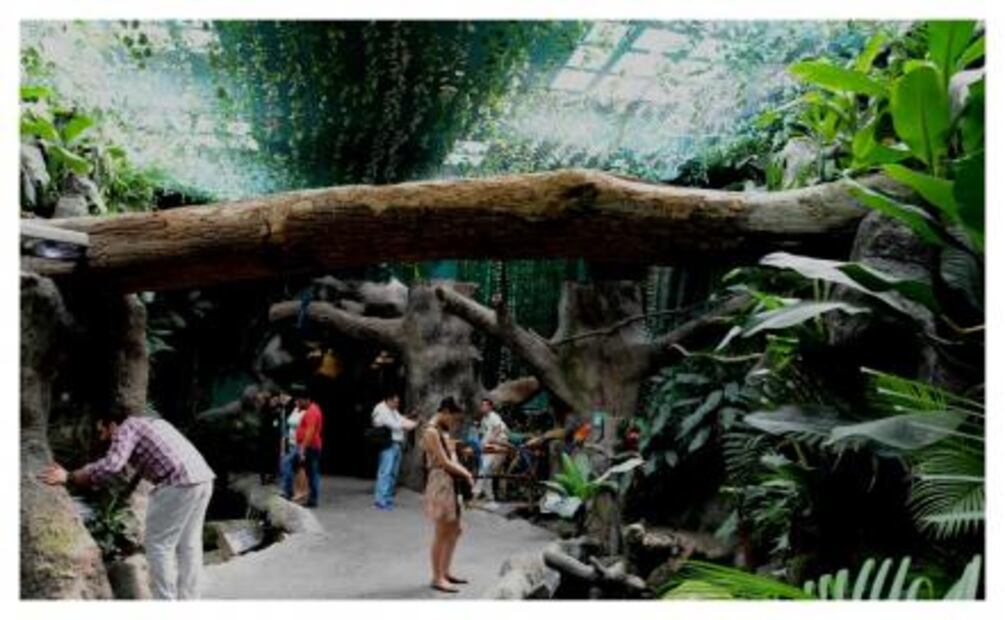 Acuario de Veracruz cerrará año con un millón de visitantes