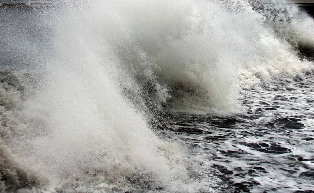 Foto: Archivo EL UNIVERSAL