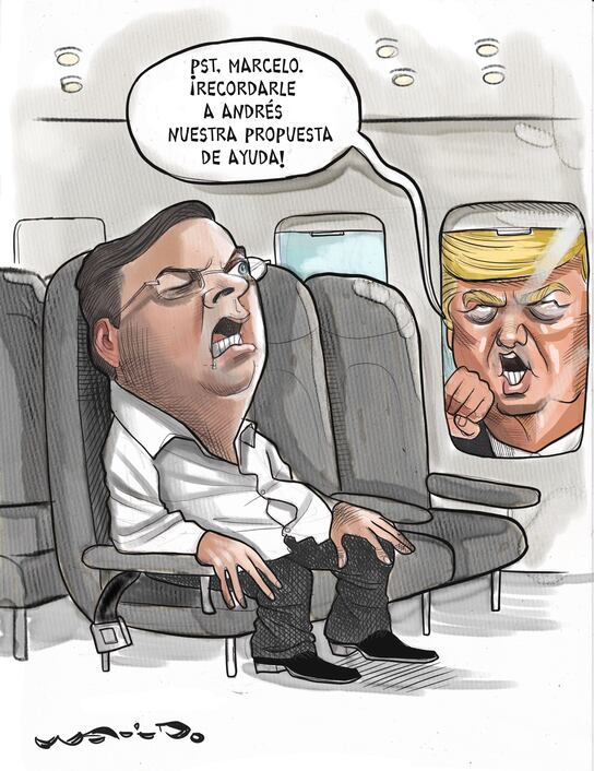 Y cuando despertó...