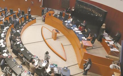 Senado ratifica convenio para garantizar derechos de trabajadores domésticos