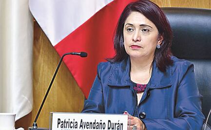 “Congreso deberá adecuar el plan B”