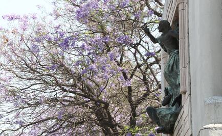 El INAH inaugura cátedra sobre la diversidad cultural en el país