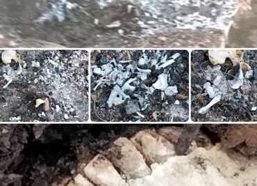 Tras hallazgo de restos en Sonora, Madres Buscadoras acusan que Fiscalía no hace labor pericial