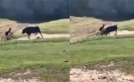 VIDEO. Toro embiste a ciclista en plena carrera de montaña en EU