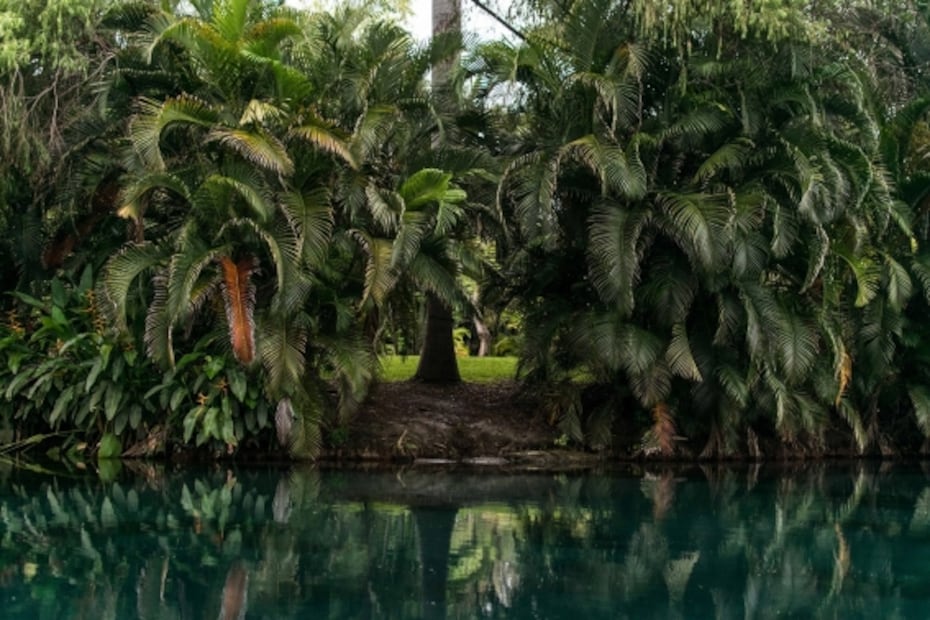 Lugares románticos para visitar cerca de CDMX en un futuro