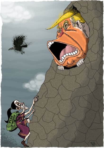 Cartón de FER