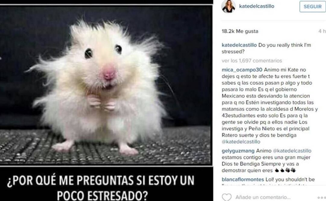 El pasado miércoles, Del Castillo hizo su primera comunicación pública tras la revelación de sus contactos con "El Chapo". FOTO: Instagram/katedelcastillo.