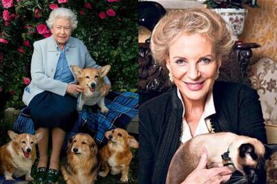 Corgis, gatos, loros: los fieles compañeros de la realeza