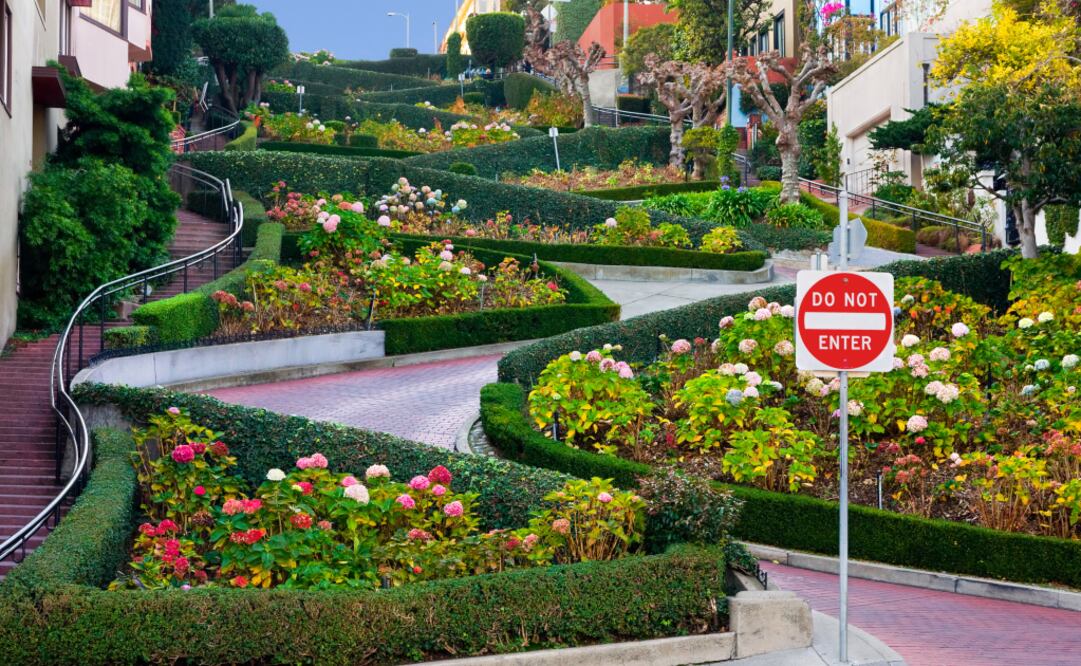Lombard Street, en San Francisco, apenas mide 182 metros de largo. (Foto: iStock)