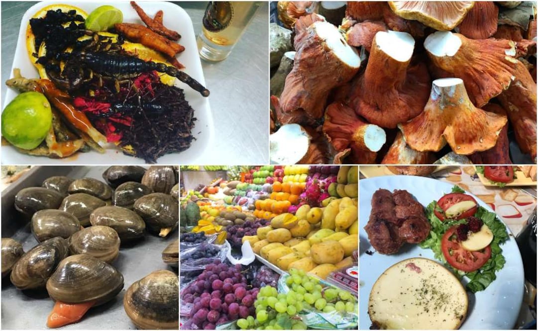 Puede que no sea tan barato irte de compras a este mercado pero visitarlo vale la pena. (Foto: Instagram/tagalongdeb/Agustin Dany/Lorena Vargas/Fausto Barragan/val)