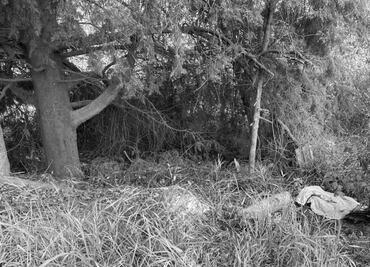 Hallan otro cuerpo de una mujer en paraje entre la CDMX y Morelos