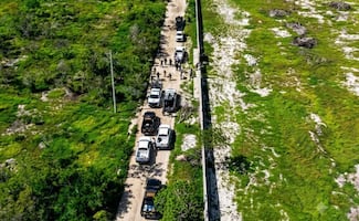 Profepa clausura obras por devastación de manglares en Celestún, Yucatán; detectan daños en más de 130 hectáreas