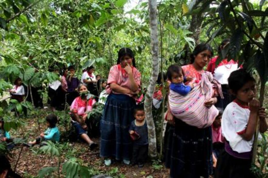 Tzotziles, nuevos desplazados en Chiapas