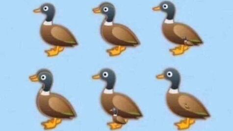 ¿Cuántos patos ves? el nuevo reto viral 