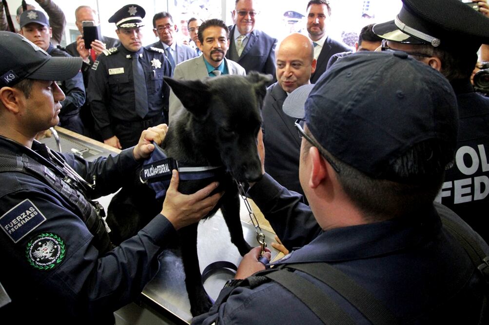 Foto: Carlos Mejía/EL UNIVERSAL