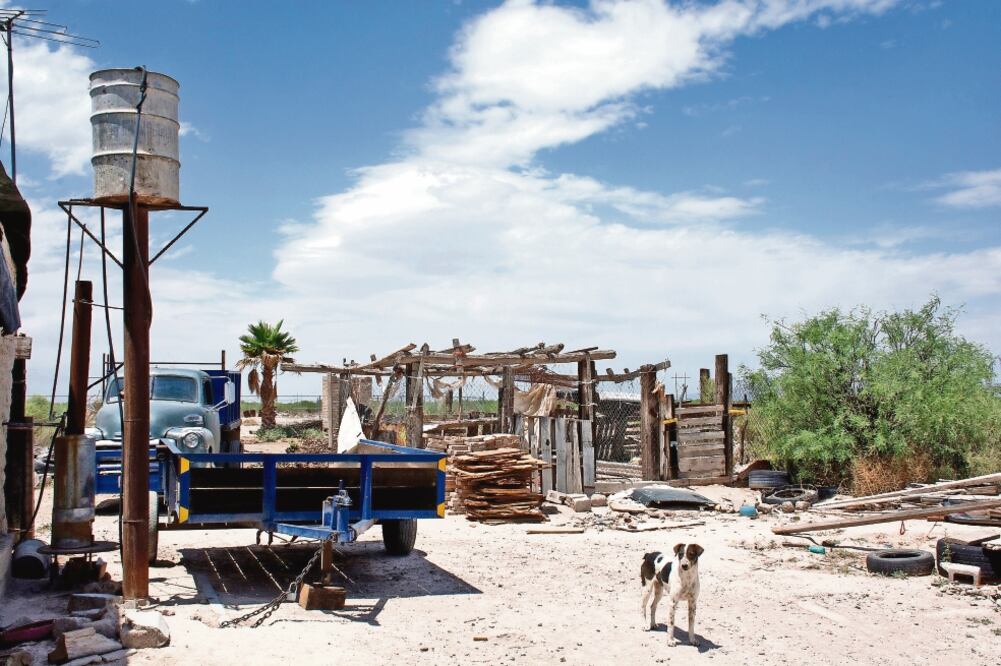 Los ejidatarios de La Sierrita de Galeana explican que la empresa Excellon de México incurrió en varias irregularidades en la zona y ha provocado daños al ecosistema, como la deforestación de varias hectáreas (RODESC)