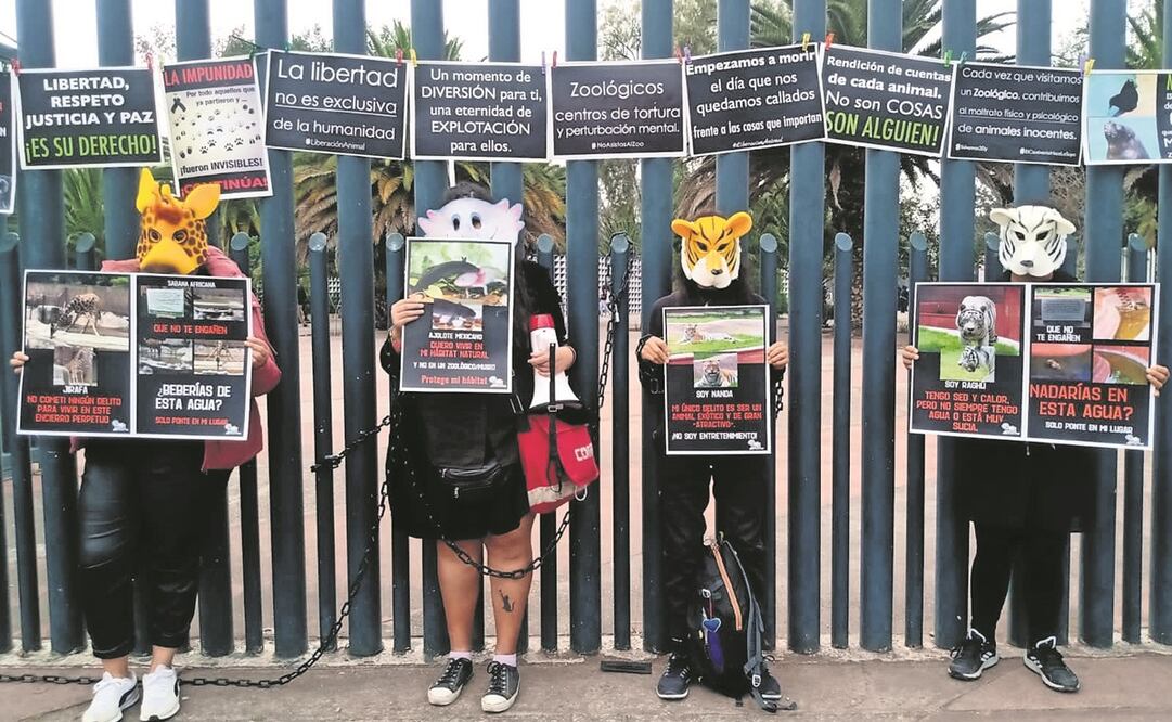 Animalistas solicitaron a las autoridades cambiar el concepto de zoológico, de exhibir a los ejemplares. Foto: ESPECIAL