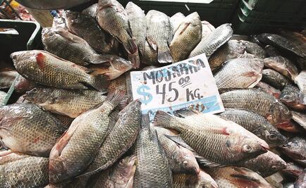 Ponen en marcha operativo "Ponte Trucha"