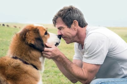 Cancelan premier de 'A Dog’s Purpose'